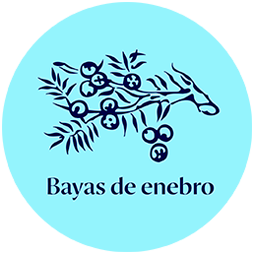 Imagen bayas de enebro, uno de los botánicos de la ginebra Bombay